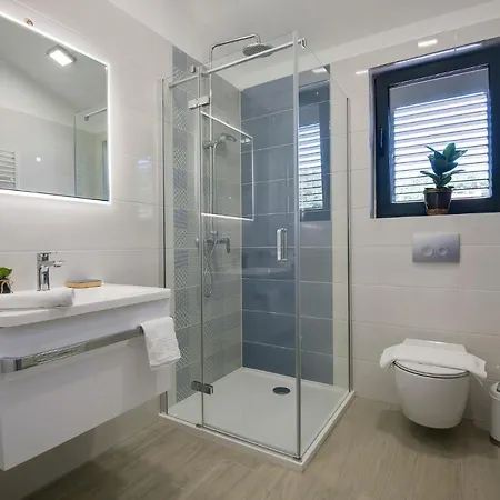 Aronia Istria Villa *